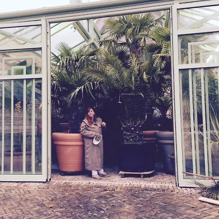 Wilsmann Apartmentvermietung