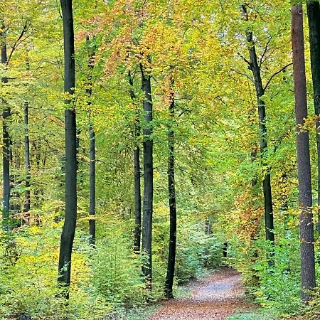 Wilsmann Apartmentvermietung 3*