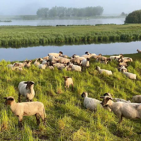 Gasthuis Wilsmann Apartmentvermietung Hövelhof