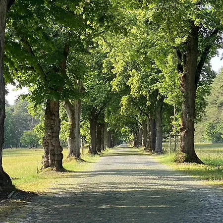 Pensión Wilsmann Apartmentvermietung Hövelhof