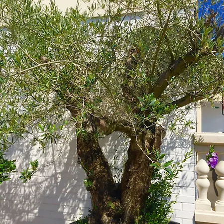 Gasthof Wilsmann Apartmentvermietung 4*