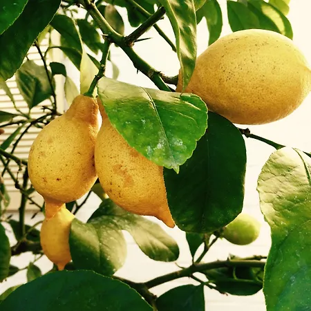 Wilsmann Apartmentvermietung Gasthuis Hövelhof