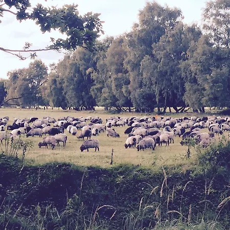 Wilsmann Apartmentvermietung Hövelhof