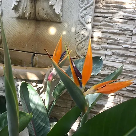 Wilsmann Apartmentvermietung 3*