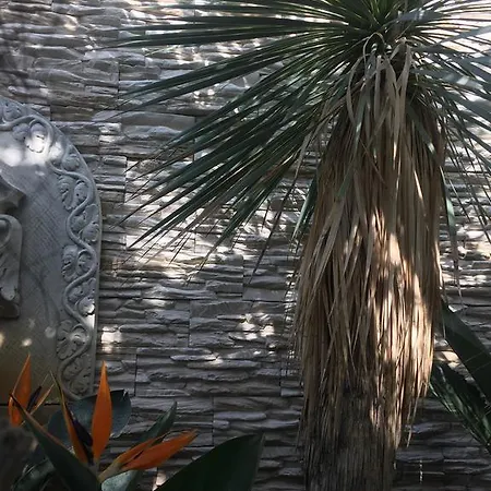 Wilsmann Apartmentvermietung