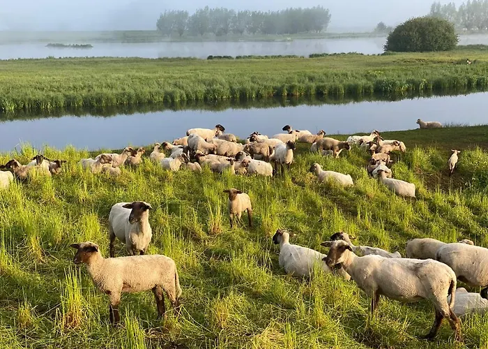 Gæstehus Wilsmann Apartmentvermietung Hövelhof