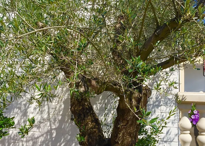 Gæstehus Wilsmann Apartmentvermietung 3*