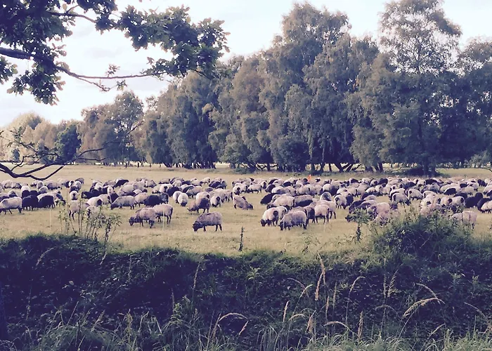 Wilsmann Apartmentvermietung Hövelhof