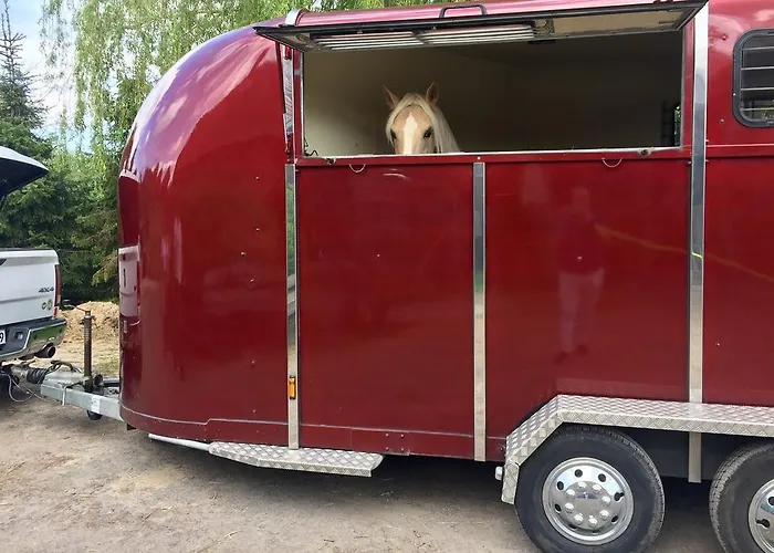 Wilsmann Apartmentvermietung 3* Hövelhof