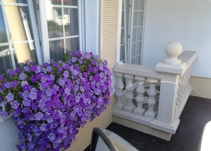 Wilsmann Apartmentvermietung Konukevi 3*